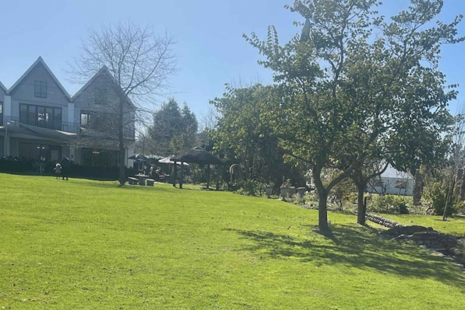 CT: Gepardy, duże koty i winnice