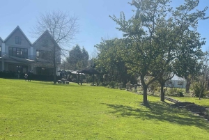 CT: Gepardy, duże koty i winnice