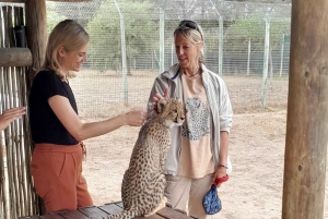 CT: Gepardy, duże koty i winnice