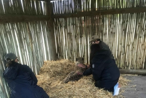 CT: Gepardy, duże koty i winnice