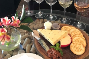 CT: Gepardy, duże koty i winnice