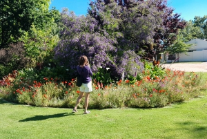 CT: Gepardy, duże koty i winnice