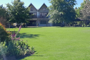 CT: Gepardy, duże koty i winnice