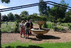 CT: Gepardy, duże koty i winnice