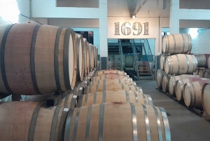 CT: Gepardy, duże koty i winnice