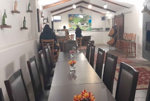 CT: Gepardy, duże koty i winnice