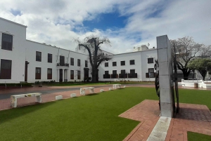 CT: Gepardy, duże koty i winnice