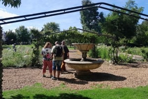 CT:Cheetah outreach ,Big Cats And Vineyard Experience