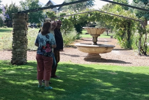 CT:Cheetah outreach ,Big Cats And Vineyard Experience