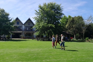 CT:Cheetah outreach ,Big Cats And Vineyard Experience