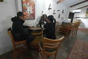 CT:Cheetah outreach ,Big Cats And Vineyard Experience