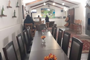 CT:Cheetah outreach ,Big Cats And Vineyard Experience