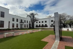 CT:Cheetah outreach ,Big Cats And Vineyard Experience