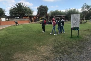 CT: Casa delle giraffe, leoni, leopardi, tigri e degustazione di vini