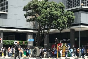 CT: Casa delle giraffe, leoni, leopardi, tigri e degustazione di vini