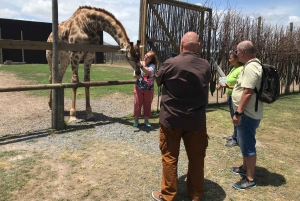 CT: Casa delle giraffe, leoni, leopardi, tigri e degustazione di vini