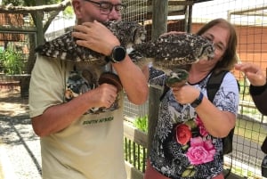 CT: Casa delle giraffe, leoni, leopardi, tigri e degustazione di vini