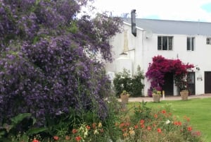 CT: Casa delle giraffe, leoni, leopardi, tigri e degustazione di vini