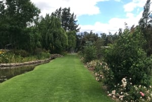 CT: Casa delle giraffe, leoni, leopardi, tigri e degustazione di vini