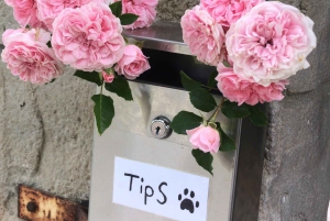 CT: Casa delle giraffe, leoni, leopardi, tigri e degustazione di vini