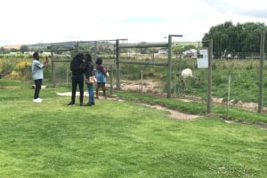 CT: Casa delle giraffe, leoni, leopardi, tigri e degustazione di vini