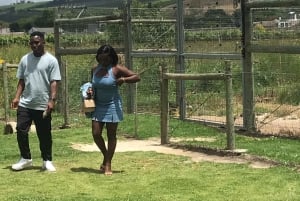 CT: Casa delle giraffe, leoni, leopardi, tigri e degustazione di vini