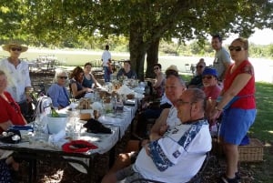 CT: Casa delle giraffe, leoni, leopardi, tigri e degustazione di vini