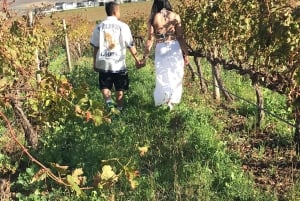 CT: Casa das girafas, leões, leopardos, tigres e degustação de vinhos