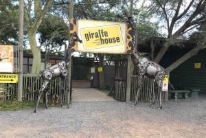 CT: Casa das girafas, leões, leopardos, tigres e degustação de vinhos