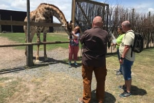 CT: Casa das girafas, leões, leopardos, tigres e degustação de vinhos