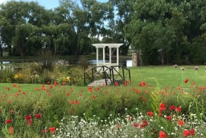 CT: Casa das girafas, leões, leopardos, tigres e degustação de vinhos