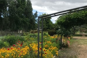 CT: Casa das girafas, leões, leopardos, tigres e degustação de vinhos