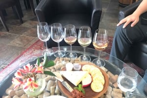 CT: Casa das girafas, leões, leopardos, tigres e degustação de vinhos