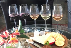 CT: Casa das girafas, leões, leopardos, tigres e degustação de vinhos