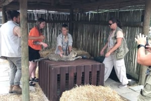 CT: Casa das girafas, leões, leopardos, tigres e degustação de vinhos