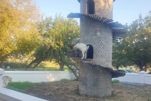 CT: Casa das girafas, leões, leopardos, tigres e degustação de vinhos