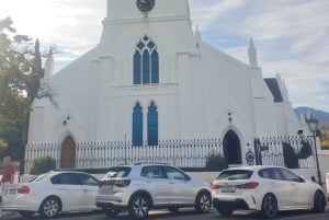 CT: Casa das girafas, leões, leopardos, tigres e degustação de vinhos