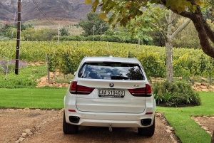 TOUR ENOLOGICO PRIVATO PERSONALIZZATO CON PRANZO - CITTÀ DEL CAPO