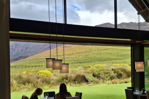 TOUR ENOLOGICO PRIVATO PERSONALIZZATO CON PRANZO - CITTÀ DEL CAPO