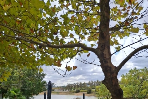 TOUR ENOLOGICO PRIVATO PERSONALIZZATO CON PRANZO - CITTÀ DEL CAPO