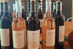 TOUR ENOLOGICO PRIVATO PERSONALIZZATO CON PRANZO - CITTÀ DEL CAPO