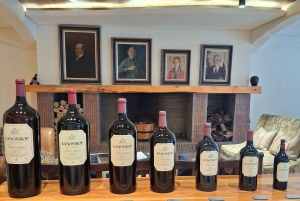 TOUR ENOLOGICO PRIVATO PERSONALIZZATO CON PRANZO - CITTÀ DEL CAPO