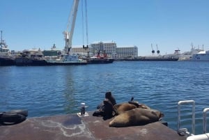 Upptäck Kapstadens förflutna: Ljudguidning i appen V&A Waterfront