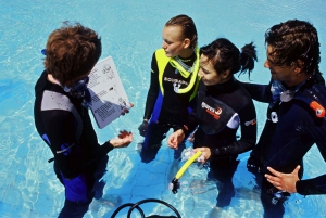  Discover Scuba Diving Experience