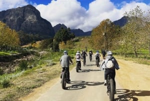 E-Bike Stellenbosch Winelands - Full Day Private Tour