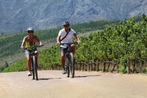 E-Bike Stellenbosch Winelands - Full Day Private Tour