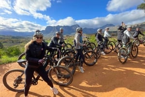 E-Bike Stellenbosch Winelands - Full Day Private Tour