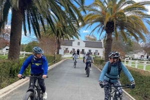 E-Bike Stellenbosch Winelands - Full Day Private Tour