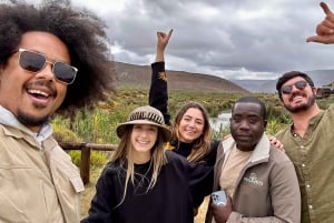 Wczesne poranne safari Big Five Experience w pobliżu Kapsztadu, SA