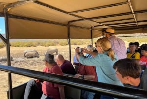 Tidig morgon Safari Big Five Upplevelse Nära Kapstaden, SA